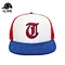 Snapbacks hat